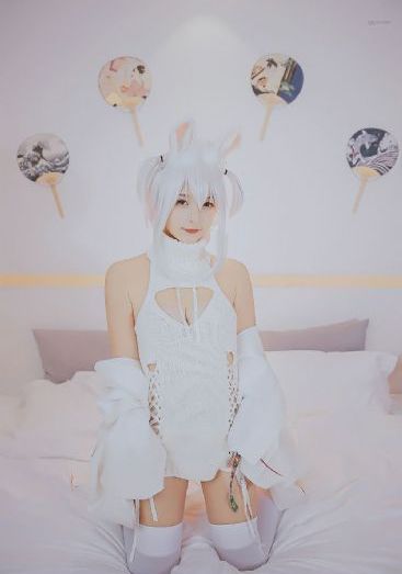 天天干人人