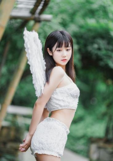 奇葩四合院电视剧免费观看