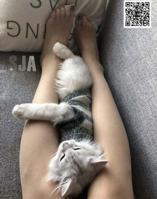 逃避快乐星球