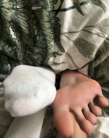 前夫求爱记 电视剧