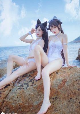 完美求婚