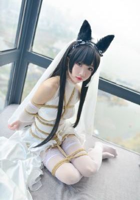 一路向西完整电视剧免费播放